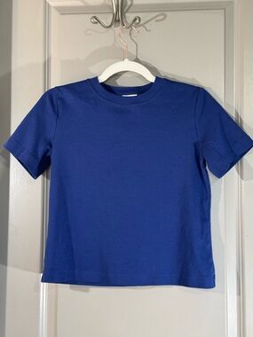 Babaton - Aritzia - Pegasus Tee in Ablaze Blue